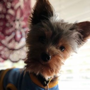 Meet your Posher, Mariah